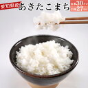 令和2年産 愛知県産 あきたこまち 玄米30kg/白米27k...