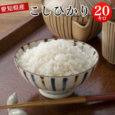 【新米販売開始！】 令和3年産 愛知県産 こしひかり 白米20kg 【送料無料※北海道・沖縄・一部離島を除く】