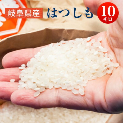 令和5年産 岐阜県産はつしも 白米10kg 【送料無料】北海道・沖縄・一部離島を除く【税込】 【ハツシモ】初霜 【送料込み】