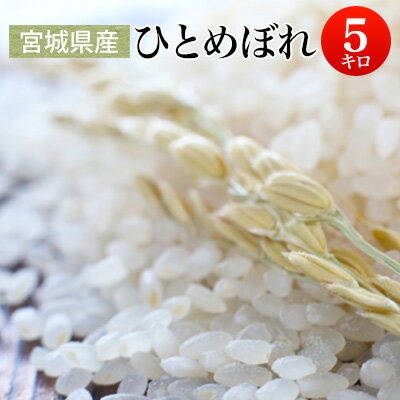 和4年産 宮城県産ひとめぼれ 白米5kg 【送料無料】北海道・沖縄・一部離島を除く【...