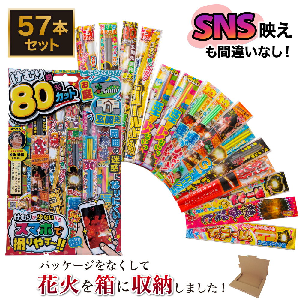 花火 手持ち花火 セット パッケージ無し 「価格・品質比較して下さい！」 「楽しさと映えを意識した花 ...