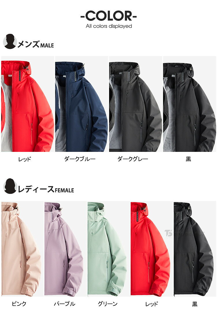 サンプル画像3