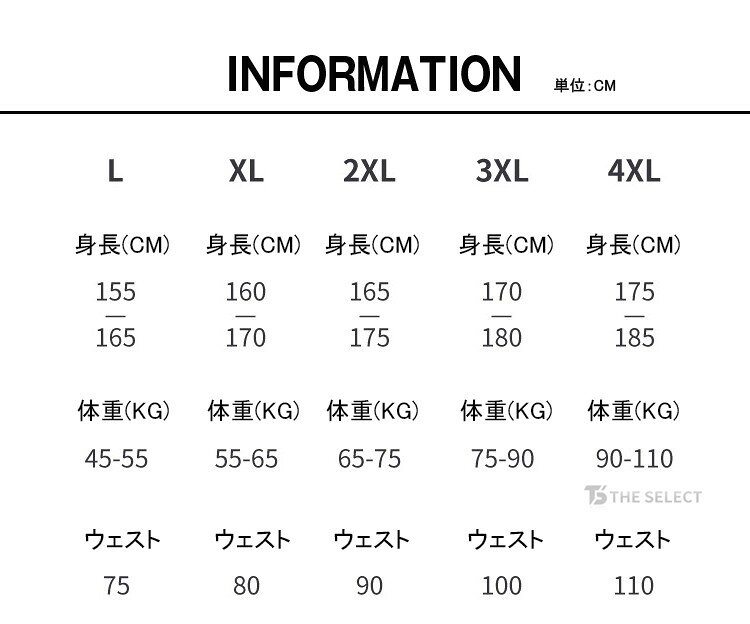 水着 上下セット フィットネス水着 メンズ 競泳水着 スイムウェア フィットネス 2点セット 競泳用 競泳 水泳 練習用水着 水陸両用 サーフ プール 海水浴 男性 大人 the-select-10000181 THE SELECT サンプル画像2
