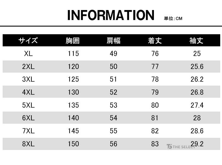 デニム シャツ メンズ 半袖 シャツ カジュアルシャツ デニム バンドカラー レギュラーカラー シャツ 夏 トップス おしゃれ 無地 ワークシャツ ウエスタンシャツ 仕事着 アメカジ 大きいサイズ 20代 30代 40代 50代 60代 ファッション 普段着 the-select-10000533 THE SELECT サンプル画像2