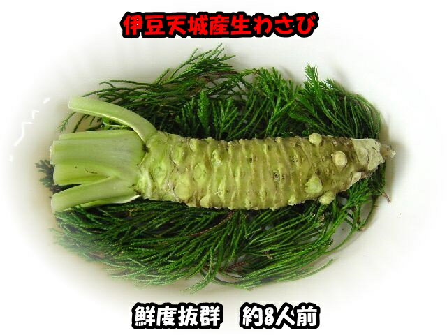 本わさび入り生わさびすりおろし　100g