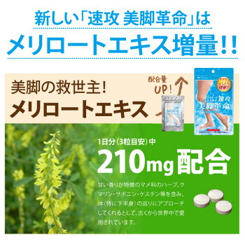 <メール便送料無料>(ボディケア部分足痩せ下半身美脚スリムダイエットスッキリキレイレディースかわいいモデル)【速攻美脚革命(90粒30日間)】