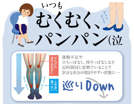 <メール便送料無料>(ボディケア部分足痩せ下半身美脚スリムダイエットスッキリキレイレディースかわいいモデル)【速攻美脚革命(90粒30日間)】