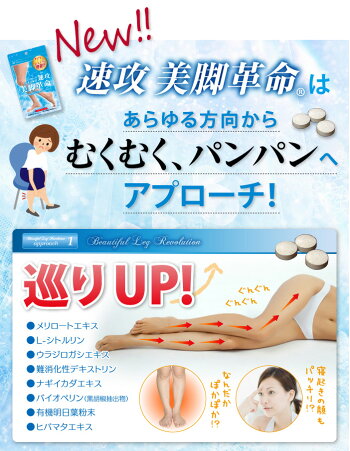 <メール便送料無料>(ボディケア部分足痩せ下半身美脚スリムダイエットスッキリキレイレディースかわいいモデル)【速攻美脚革命(90粒30日間)】