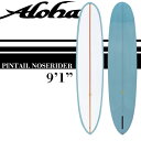 【期間限定！大特価】ALOHAサーフボード PINTAIL NOSERIDER 9'1