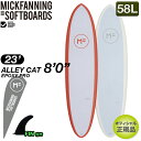 【2023年新作】【特別価格】MFソフトボード ALLEY CAT 8'0