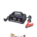 大自工業 メルテック MP-230 セレクト式自動 パルス バッテリー充電器 延命