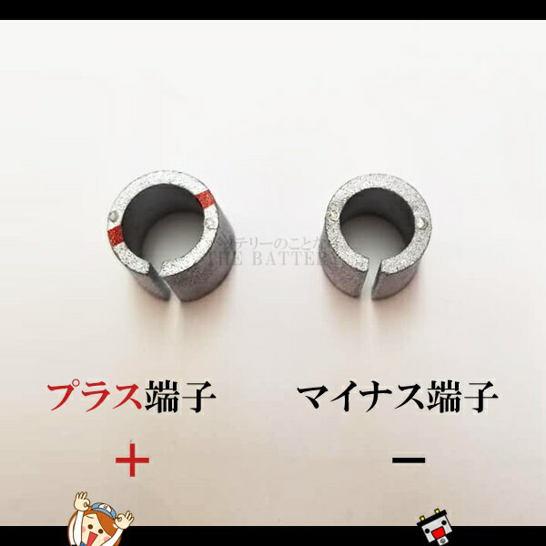 �ڤ椦�ѥ��åȡۥݡ������ü�� ���ݡ��� �����ߥʥ� �Ѵ� �����ץ��� AMP-11