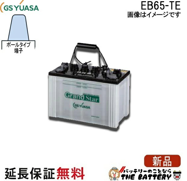 保証付 EB65 TE ポール端子 蓄電池 自家発電 GS YUASA ユアサ 小形電動車用鉛蓄電池