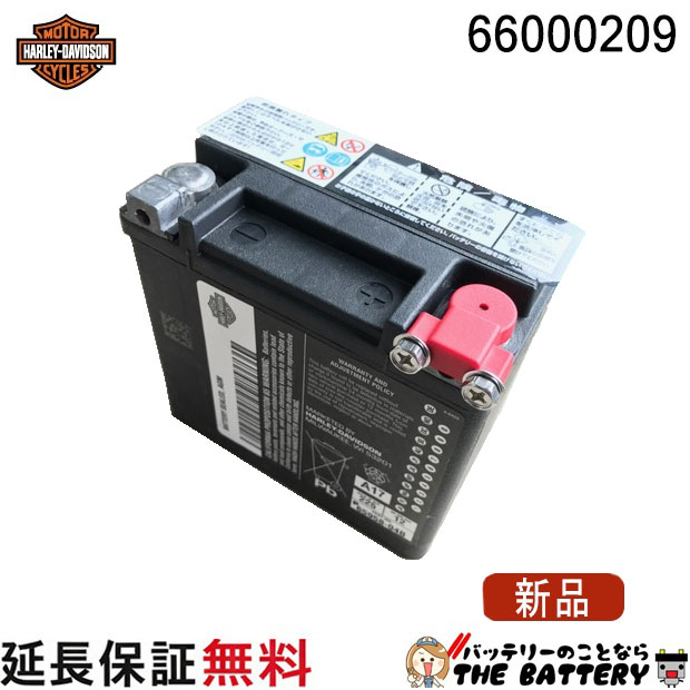 HD 66000209 旧 65991-82B ハーレーダビッ�
