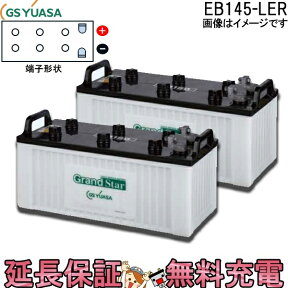 2個セット 保証付 EB145 LER L形端子 ボルト締付端子 蓄電池 自家発電 GS YUASA ユアサ 小形電動車用鉛蓄電池