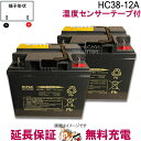 【2個セット】 温度センサーテープ付き 純正 HC38-12A