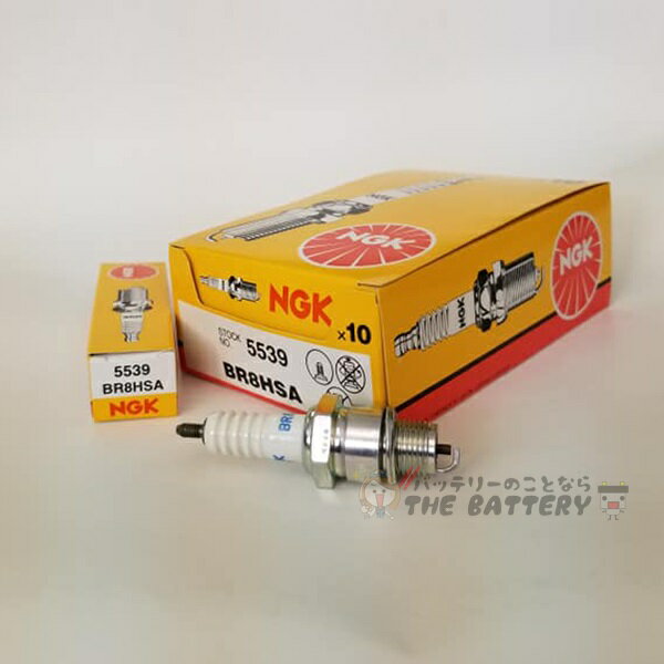 BR8HSA 10�ܥ��å� 5539 �Х��� ���Хץ饰 NGK �����ü�ƫ�� �б��������� 98076-5871G