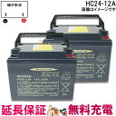【2個セット】【保証付】HC24-12A セニアカー 車椅子 バッテリー 日立 後継品 サイクルバッテリー 互換 SC24-12 SER24-12 WP26-1...