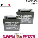 【2個セット】PNC12400 電動車椅子 バッテリー ニューマックス 互換 HC38-12 NP38-12 HF44-12 SC38-12 SER38-12 