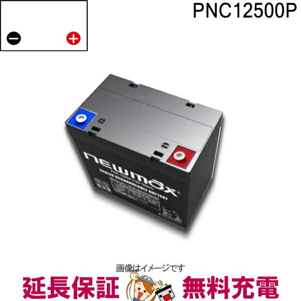 楽天バッテリーのことならTHE BATTERY【先着10名★5/25（土）24時間限定!!最大1000円OFFクーポン】PNC12500P 電動車椅子 バッテリー シニアカー 電動カート サイクルバッテリー ニューマックス 互換 HC38-12 NP38-12 HF44-12 産業用 バッテリー