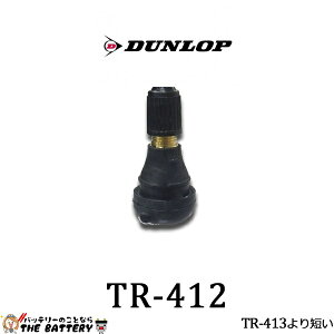 【ゆうパケット】ダンロップ 208257 バイク直バルブ 汎用 チューブレス 用 エアバルブ TR-412 DUNLOP