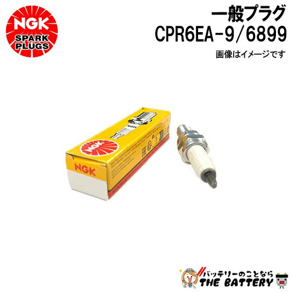 �椦�ѥ��å� CPR6EA-9 ���̥ץ饰 6899 �ͥ� �Х��� ���Хץ饰��NGK�����ü�ƫ��