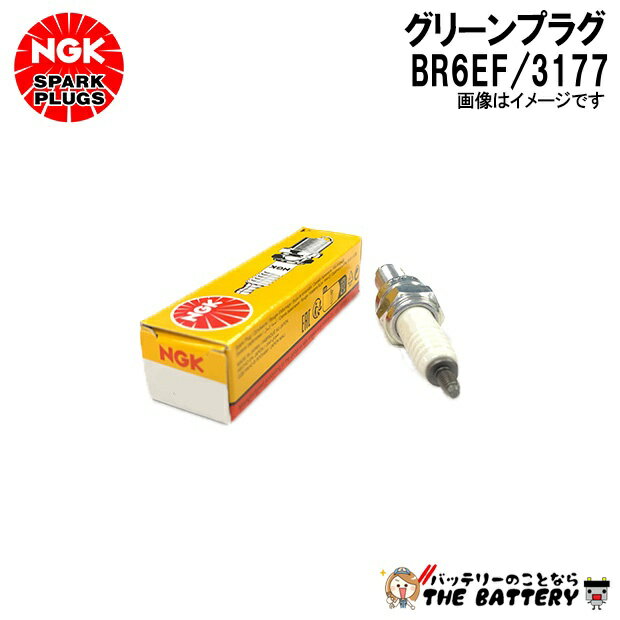 NGK BR6EF ���꡼��ץ饰 3177