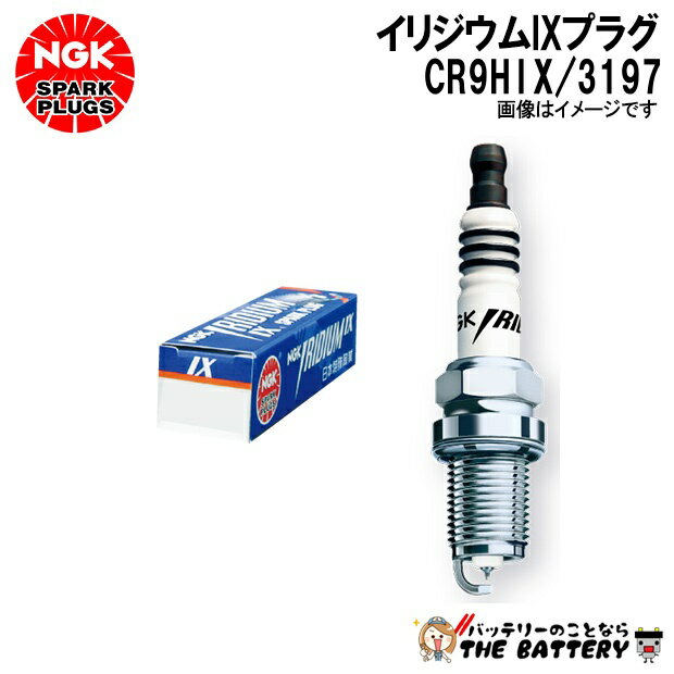 NGK CR9HIX IX�ץ饰 3197
