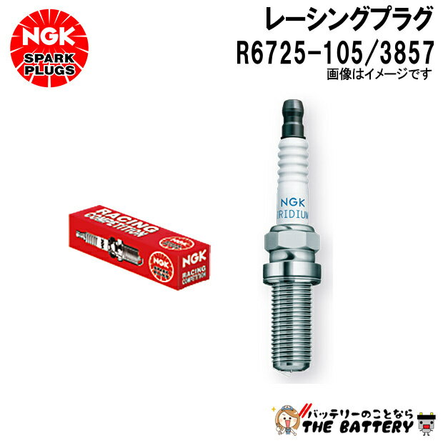 NGK R6725-105 レーシングプラグ3857