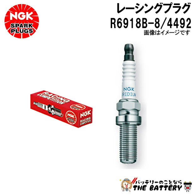 NGK R6918B-8 �졼���󥰥ץ饰 4492