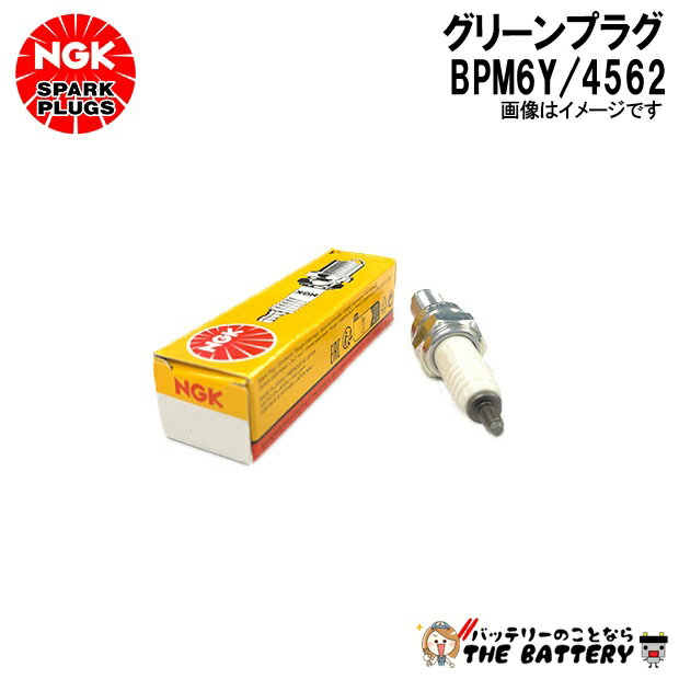 NGK BPM6Y ���꡼��ץ饰 4562