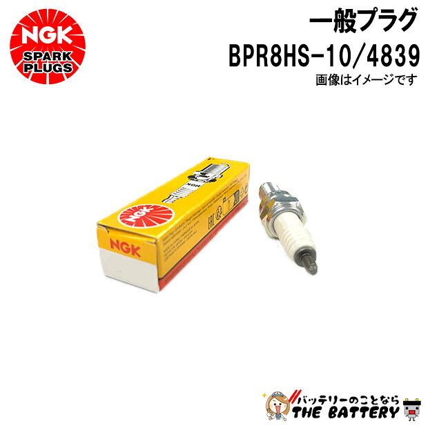 NGK BPR8HS-10 �ץ饰 4839
