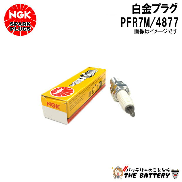 NGK PFR7M ハッキンプラグ 4877