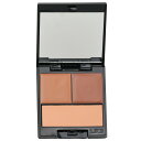 サラットビューティー パーフェクショニスト コンシーラーパレット - # 6 (Brown/Chocolate/Apricot Powder) 6.2g/0.2oz