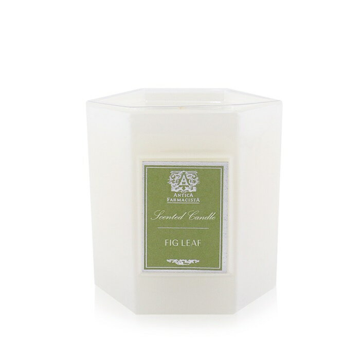  Antica Farmacista Candle - Fig Leaf アンティカファルマシスタ キャンドル - フィグリーフ 255g/9oz 送料無料 海外通販