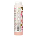【月間優良ショップ受賞】 Nesti Dante Romantica Exhilarating Shower Gel With Rosa Canina - Fl...