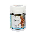 HealthWise Healthwise Lysine 300g