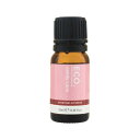 Eco Modern Essentials ECO. Modern Essentials Essential Oil Blend Candy Cane 10ml