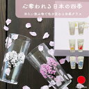 丸モ高木陶器 冷感 日本四季 タンブラーグラス 2個セット 食器 ギフト おしゃれ 高級 ガラス | 360ml 桜 花火 紅葉 雪結晶 日本製 国産 職人 | 海外 手土産 モダン ビアグラス 冷酒 日本酒 コップ | 結婚祝い 新築祝い 新居祝い 誕生日 還暦祝い 米寿 プレゼント