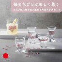丸モ高木陶器 冷感 酒器グラス 4個セット 桜 食器 ギフト おしゃれ 高級 ガラス | 65ml 100ml 115ml 125ml 日本製 国産 職人 | 海外 手土産 モダン ビアグラス 冷酒 日本酒 焼酎 タンブラー コップ | 結婚祝い 新築祝い 新居祝い 誕生日 還暦祝い 米寿 プレゼント