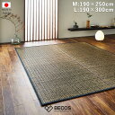 【い草-畳】イケヒコ い草ラグ カロン 黒 (M : 190×250cm, L : 190×300cm)