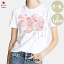 【Tシャツ】秋風 | シルクスクリーンプリント(4)