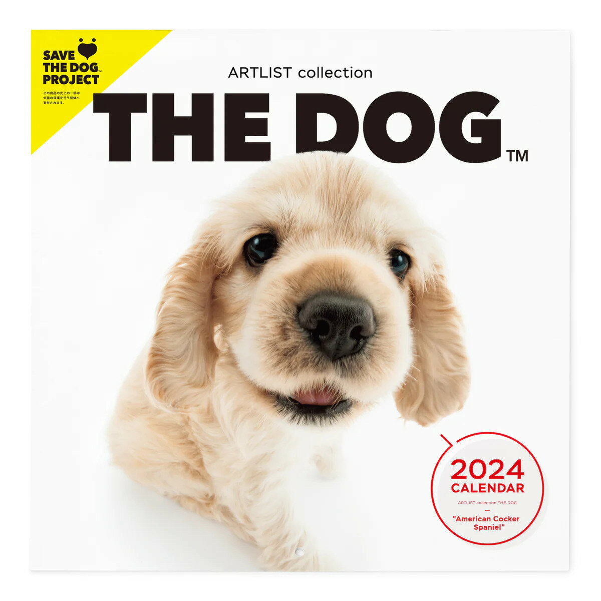 THE DOG 2024年 カレンダー 大判サイズ（アメリカン・コッカー・スパニエル）壁掛け ブックレット式 魚眼レンズ オリジナルシール付き 動物 いぬ イヌ 犬 壁掛 【THE DOG公式ストア】