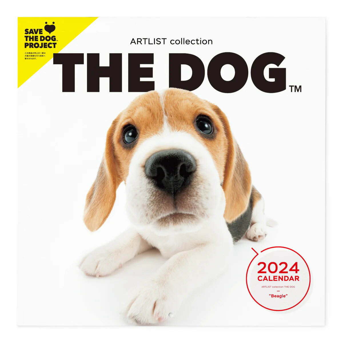 THE DOG 2024年 カレンダー 大判サイズ（ビーグル）壁掛け ブックレット式 魚眼レンズ オリジナルシール付き 動物 いぬ イヌ 犬 壁掛 【THE DOG公式ストア】