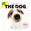 THE DOG 2024年 カレンダー 大判サイズ(ジャック・ラッセル・テリア)壁掛け ブックレット式 魚眼レンズ オリジナルシール付き 動物 いぬ イヌ 犬 壁掛 【THE DOG公式ストア】 2,420円
