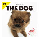 THE DOG 2024年 カレンダー 大判サイズ（ポメラニアン）壁掛け ブックレット式 魚眼レンズ オリジナルシール付き 動物 いぬ イヌ 犬 壁掛 【THE DOG公式ストア】