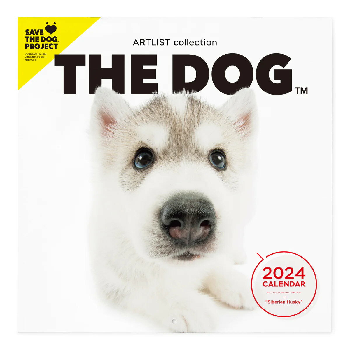 THE DOG 2024年 カレンダー 大判サイズ（シベリアン・ハスキー）壁掛け ブックレット式 魚眼レンズ オリジナルシール付き 動物 いぬ イヌ 犬 壁掛 【THE DOG公式ストア】