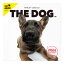 THE DOG 2024年 カレンダー 大判サイズ(ジャーマン・シェパード・ドッグ)壁掛け ブックレット式 魚眼レンズ オリジナルシール付き 動物 いぬ イヌ 犬 壁掛 【THE DOG公式ストア】 2,420円