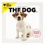 THE DOG 2024年 カレンダー ミニサイズ(ジャック・ラッセル・テリア)壁掛け ブックレット式 魚眼レンズ オリジナルシール付き 動物 いぬ イヌ 犬 壁掛【THE DOG公式ストア】 1,375円