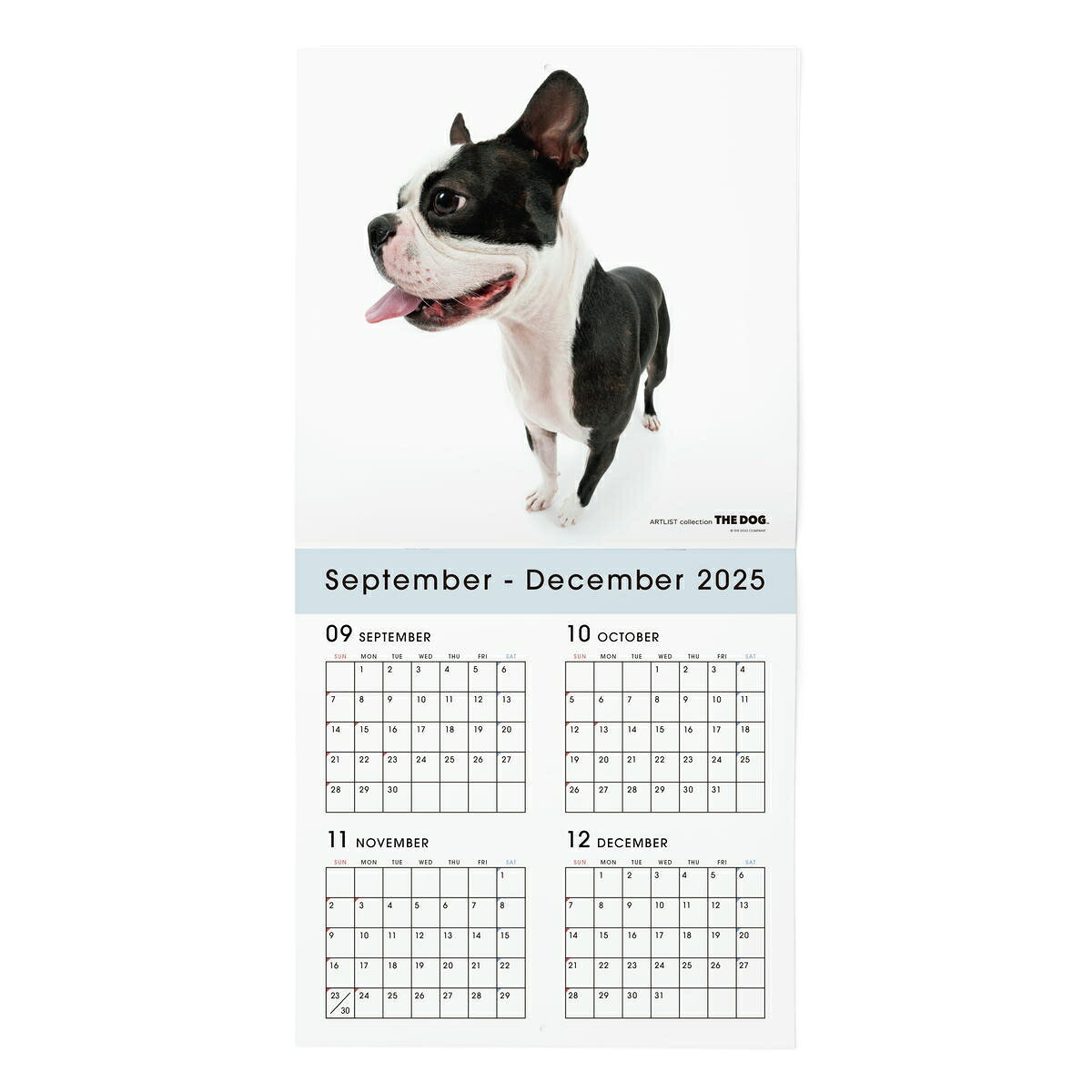 THE DOG 2026ǯ �������� ��Ƚ�������ʥܥ��ȥ󡦥ƥꥢ)�ɳݤ� �֥å���åȼ� ������ ���ꥸ�ʥ륷�����դ� ưʪ ���� ���� �� �ɳ� ��THE DOG�������ȥ���